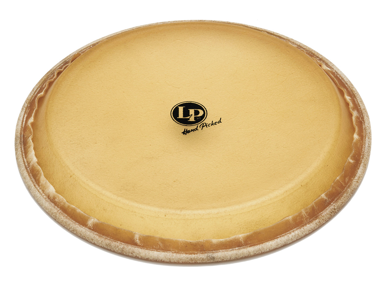 LP 12 1/2 Premounted Head Z Rawhide percussion instrument