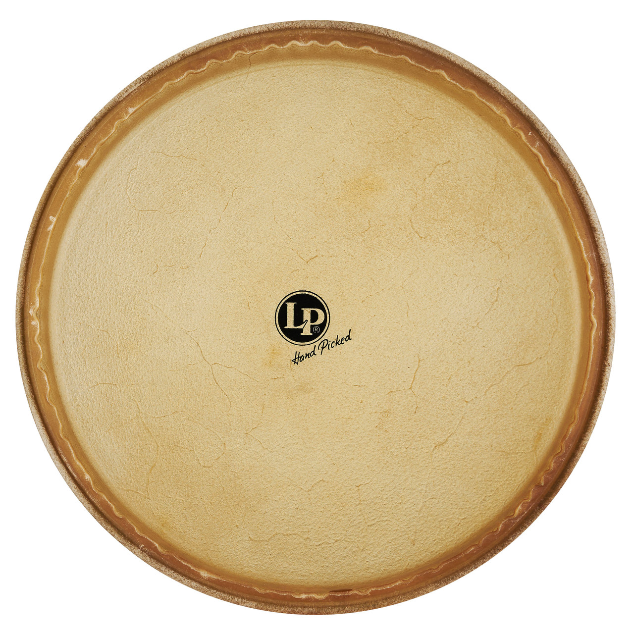 Latin Percussion LP 14" Pre-mounted Head Z Rawhide (LP274D) | Musician Madness