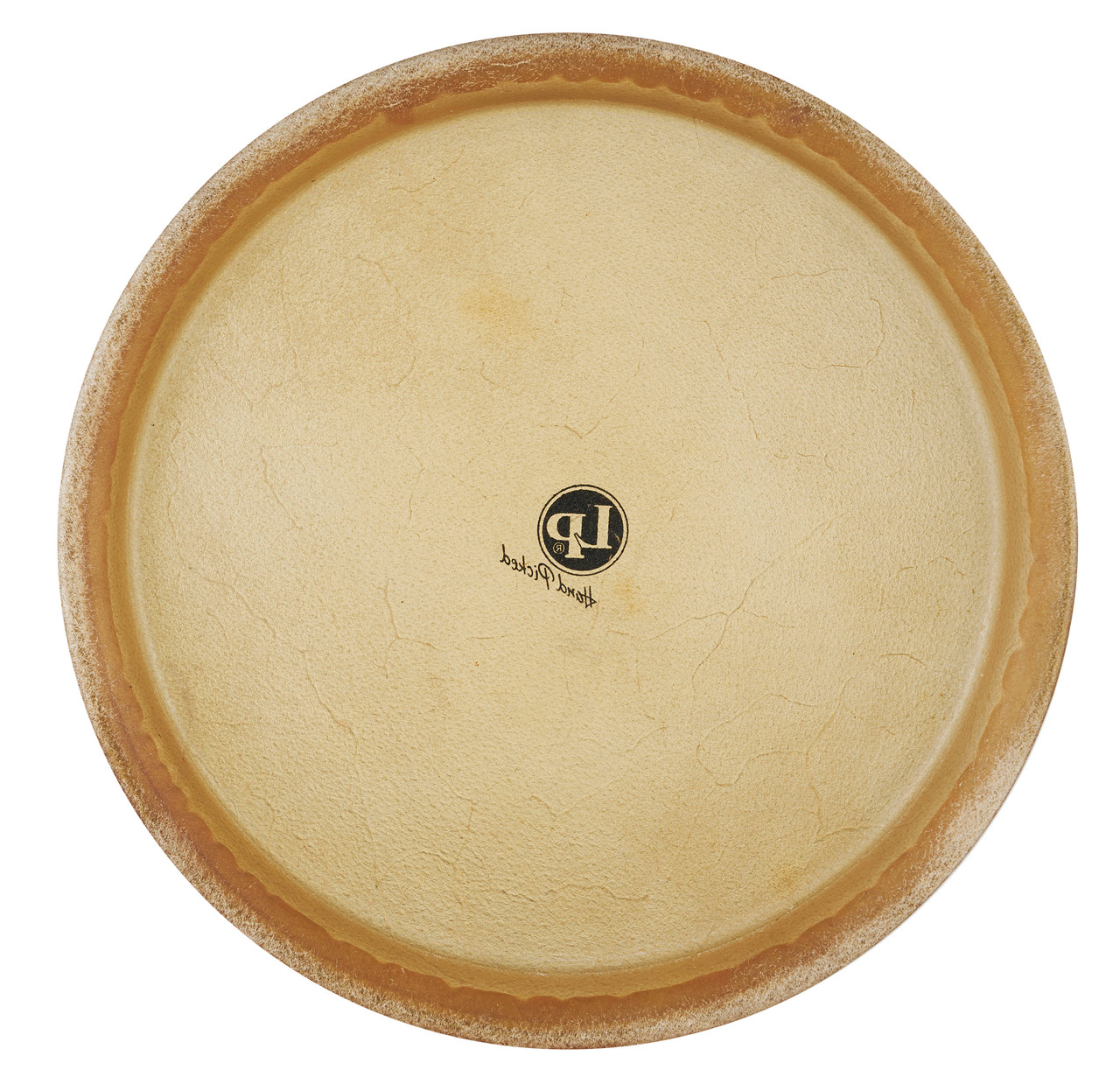 Latin Percussion LP 14" Pre-mounted Head Z Rawhide (LP274D) | Musician Madness