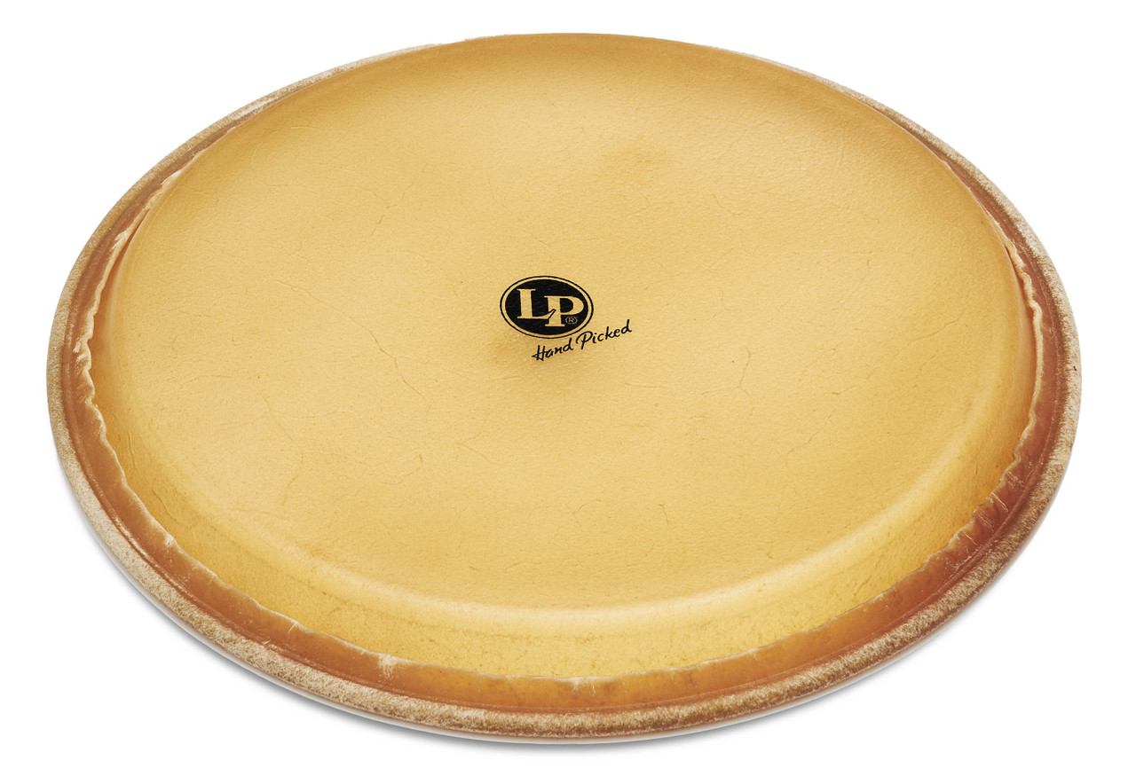 Latin Percussion LP 14" Pre-mounted Head Z Rawhide (LP274D) | Musician Madness