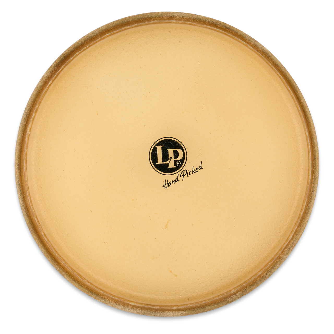 LP Mounted Tambora Head percussion instrument