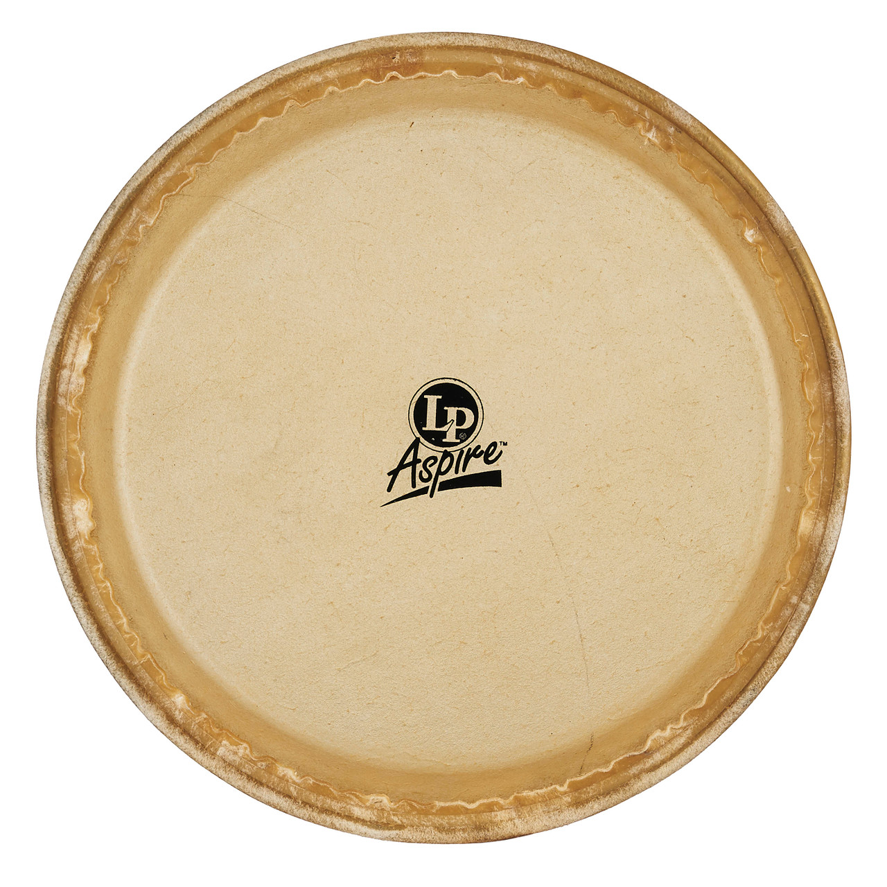 Latin Percussion LP 10" Pre-mounted Head Aspire Rawhide (LPA640A) | Musician Madness