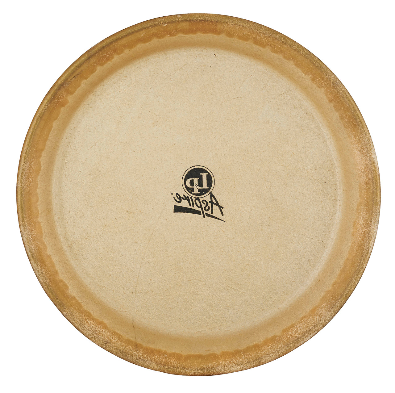 Latin Percussion LP 10" Pre-mounted Head Aspire Rawhide (LPA640A) | Musician Madness