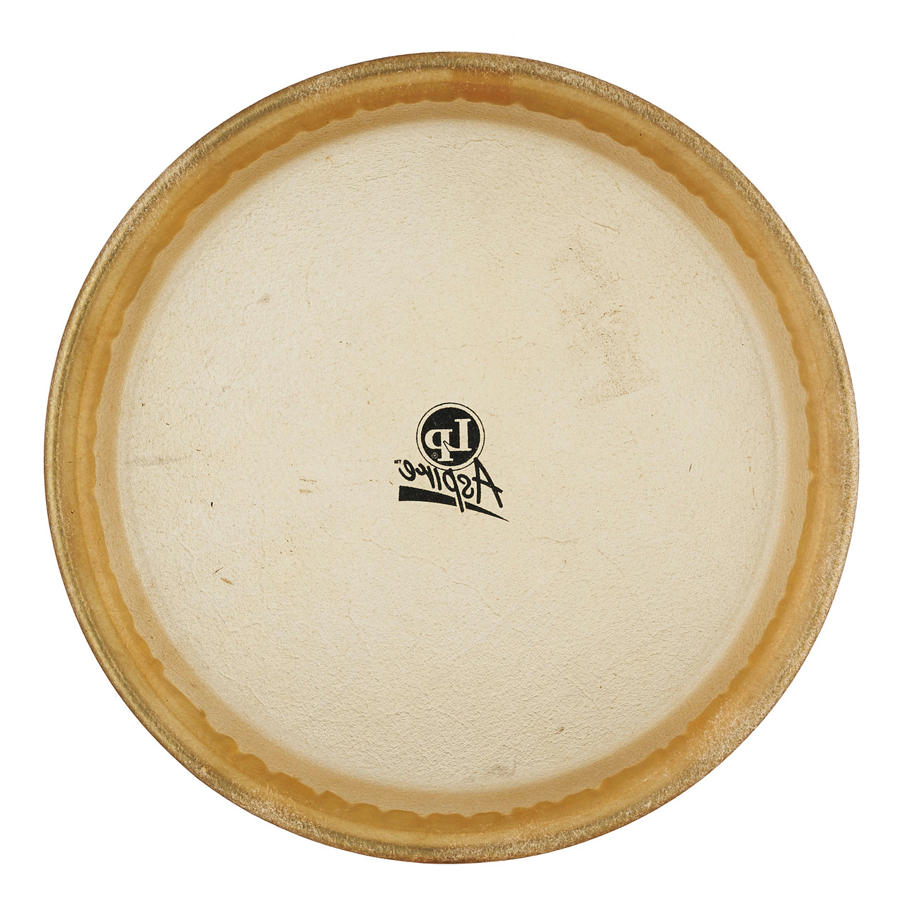 LP 11 Premounted Head Aspire Rawhide percussion instrument