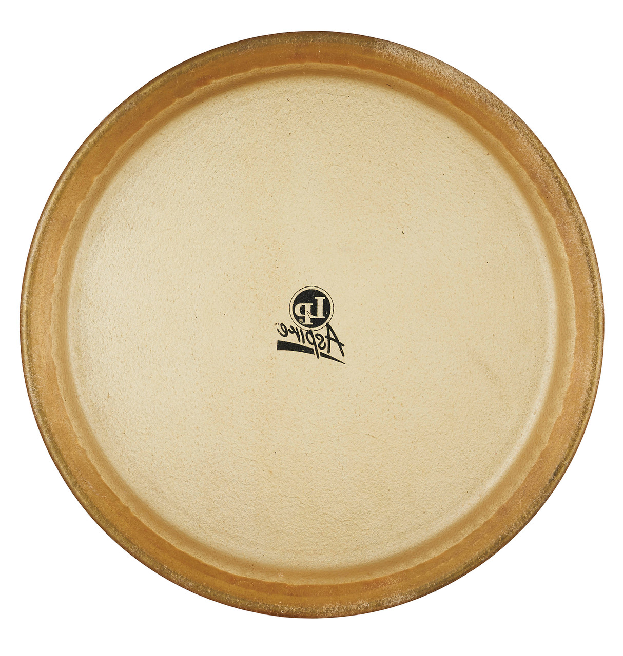 LP 12 Premounted Head Aspire Rawhide percussion instrument