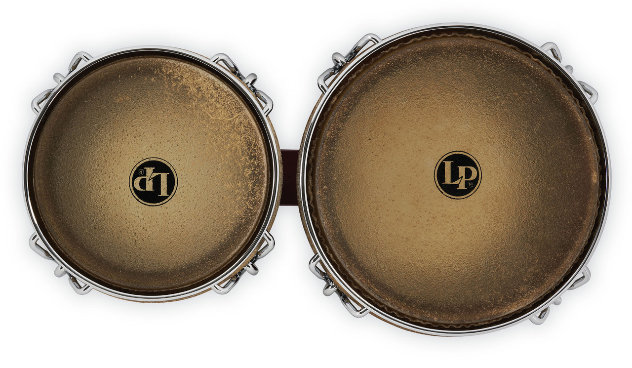 Latin Percussion LP Dandy 7 1/4 - 9" Bongo Beech DW/Black (LPL201A-JR) | Musician Madness