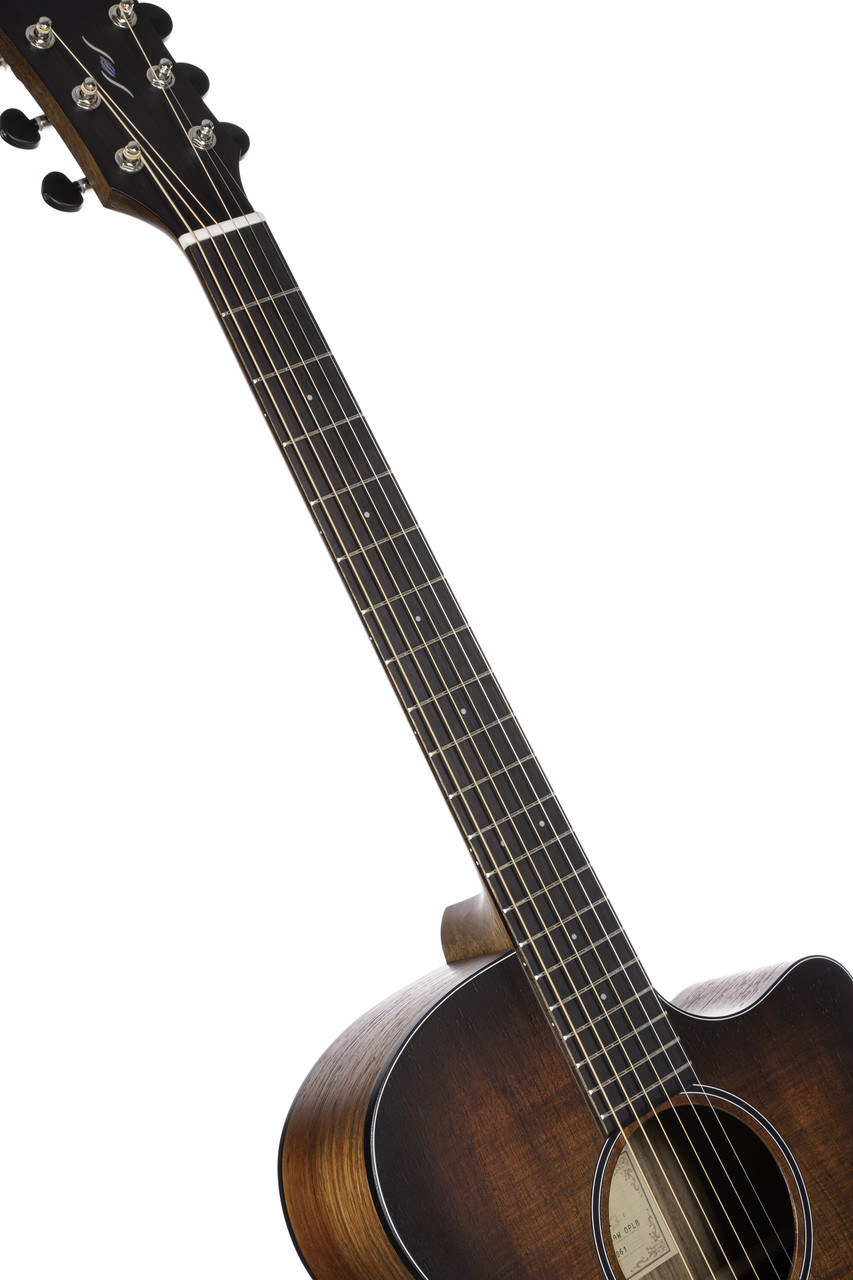 Cort COREGAOPLB Core Series Acoustic Electric Cutaway Guitar - Solid Blackwood (COREGAOPLB-U)