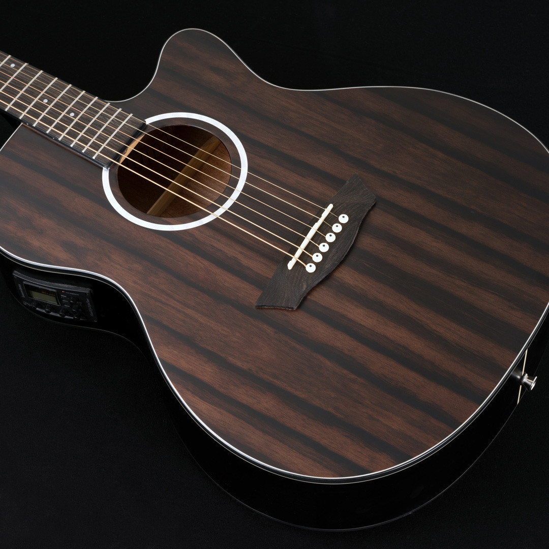 Washburn DFEACE-A Deep Forest Grand Auditorium Cutaway Acoustic Electric Guitar - Striped Ebony (DFEACE-A-U)