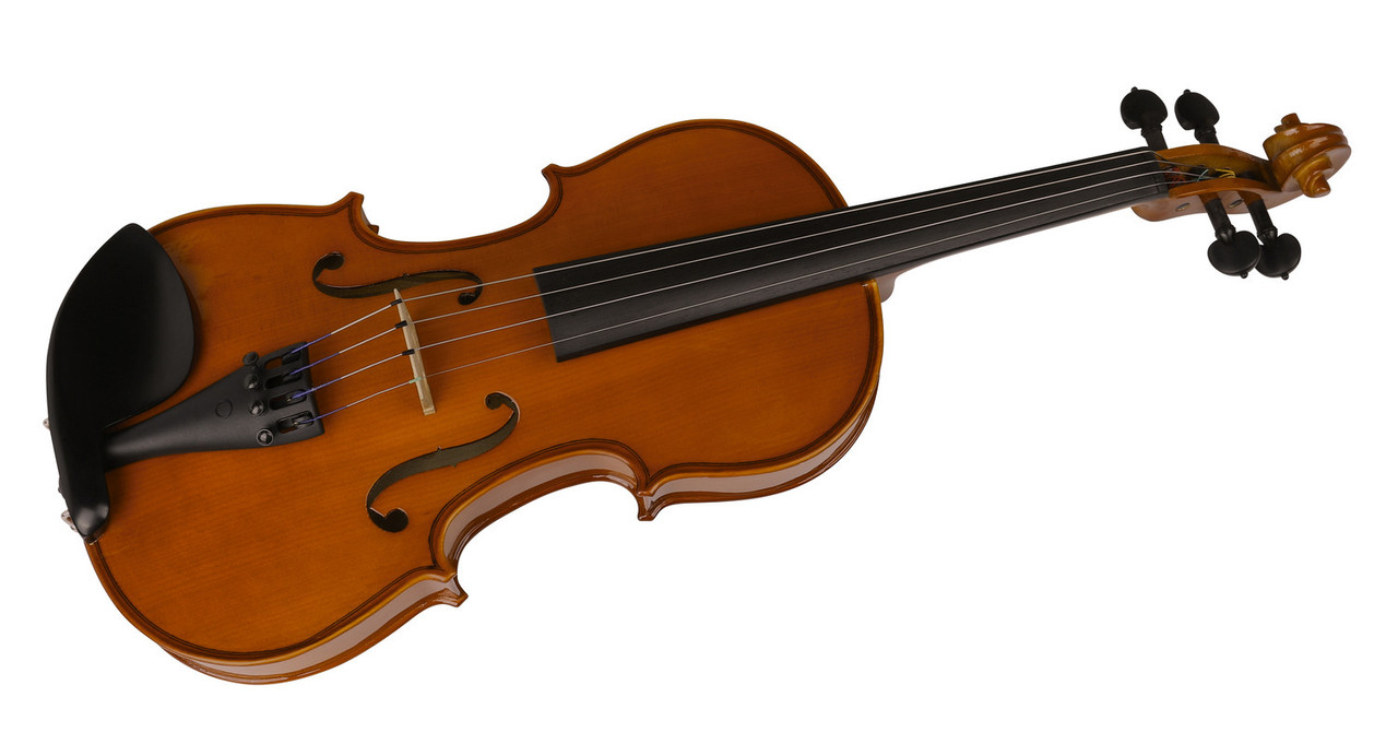 H. Jimenez Violin Outfit - Violin Bow and Case (LMVOE4) | Musician Madness