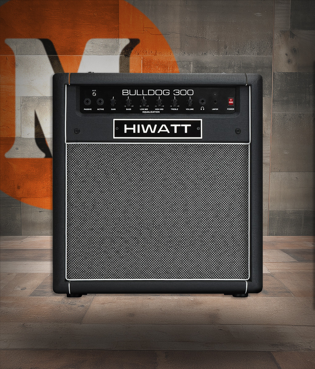 Hiwatt Bulldog 300 Combo 300W Bass Combo (BD300C-U) | Musician Madness