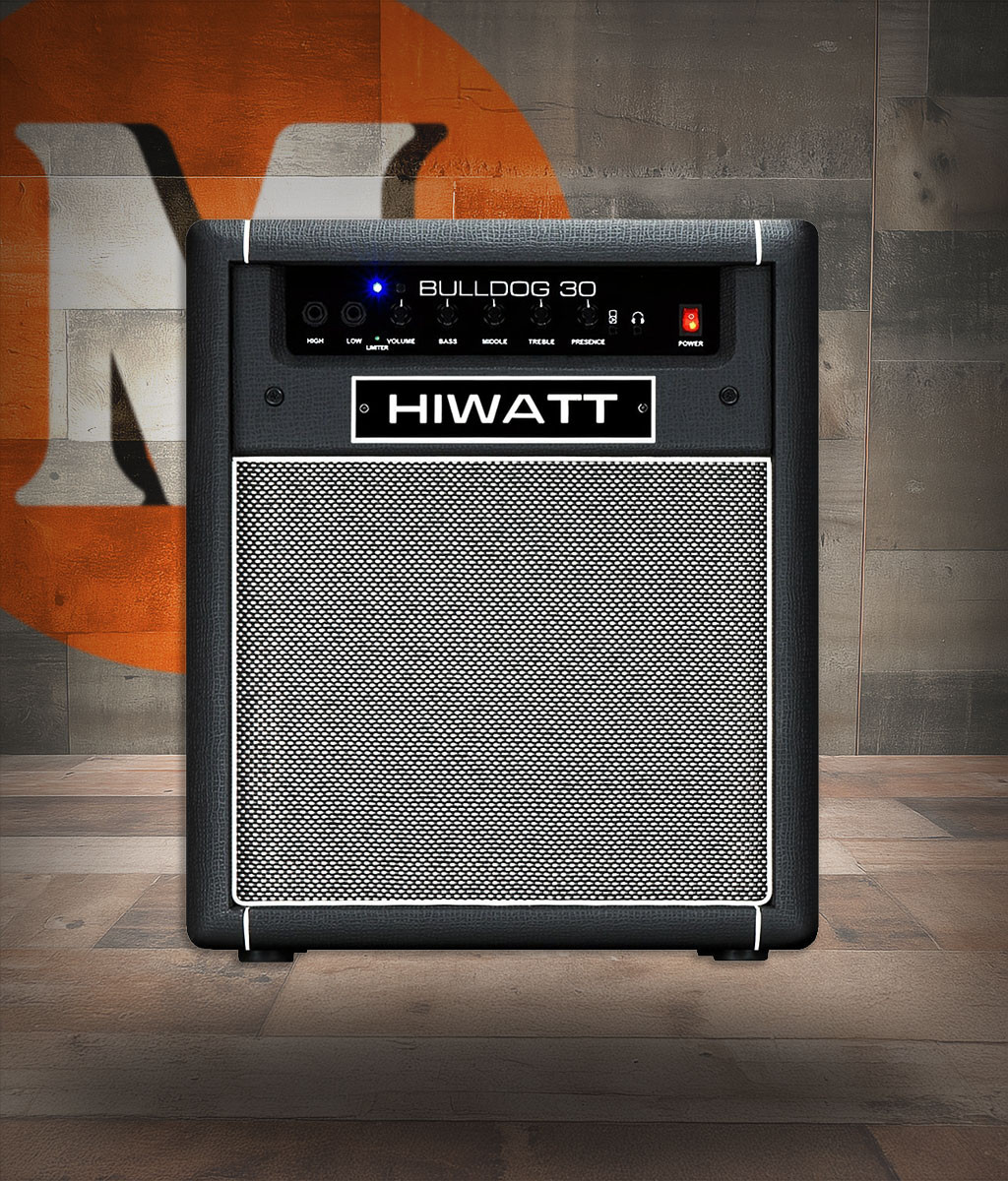 Hiwatt Bulldog 30 Combo - BT 30W Bass Combo (BD30C-U)