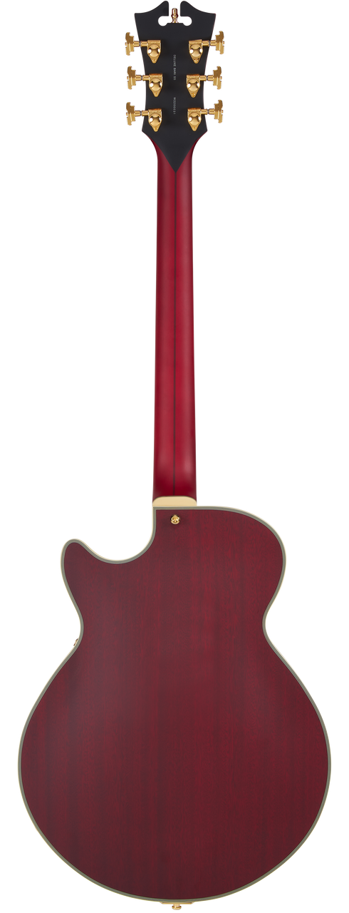 D'Angelico Deluxe Brighton Baritone - Satin Trans Wine (DADBSSSTWGS) | Musician Madness