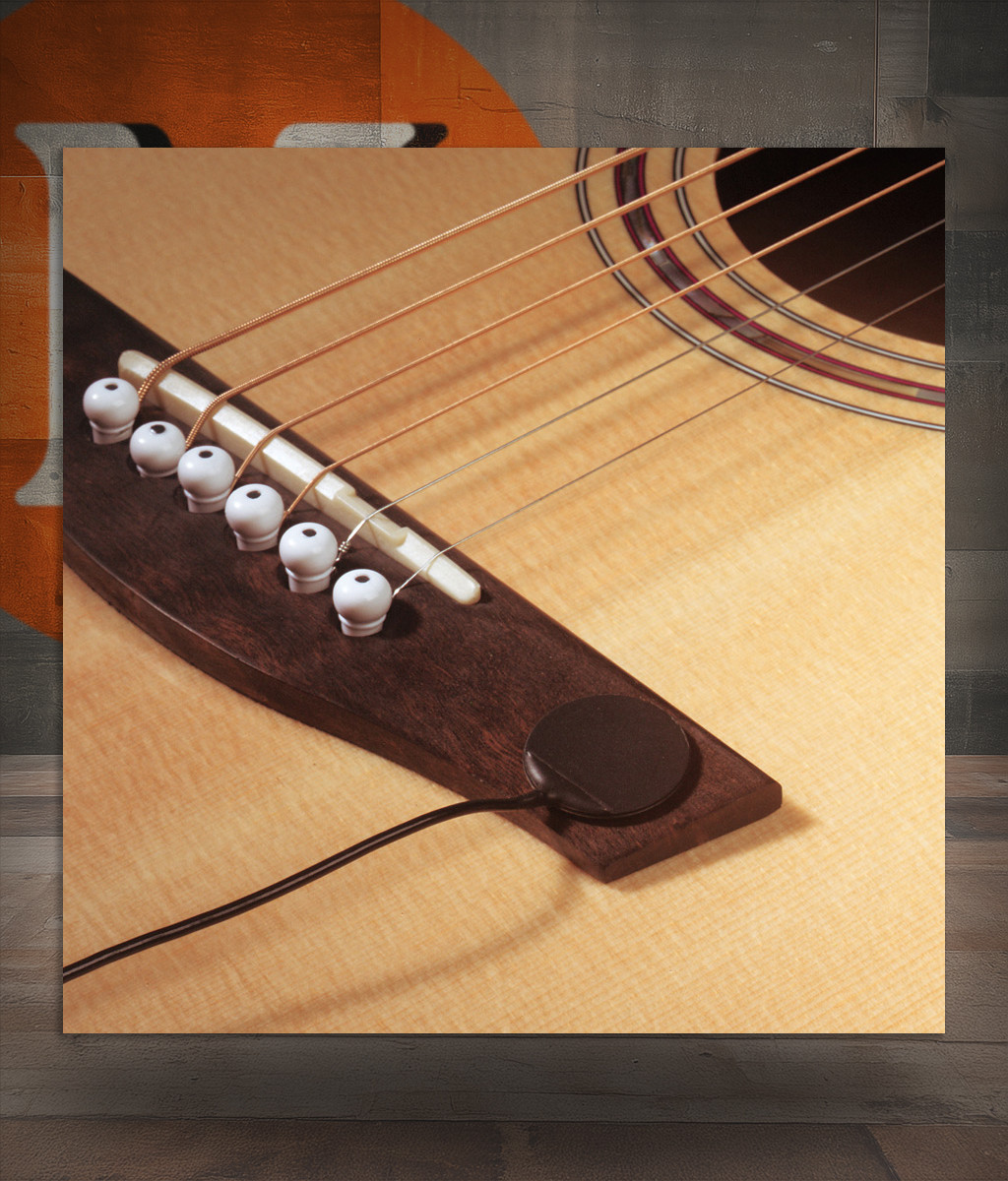 Barcus Berry DISQOS External Mount Soundboard Transducer (DISQOS-U) | Musician Madness