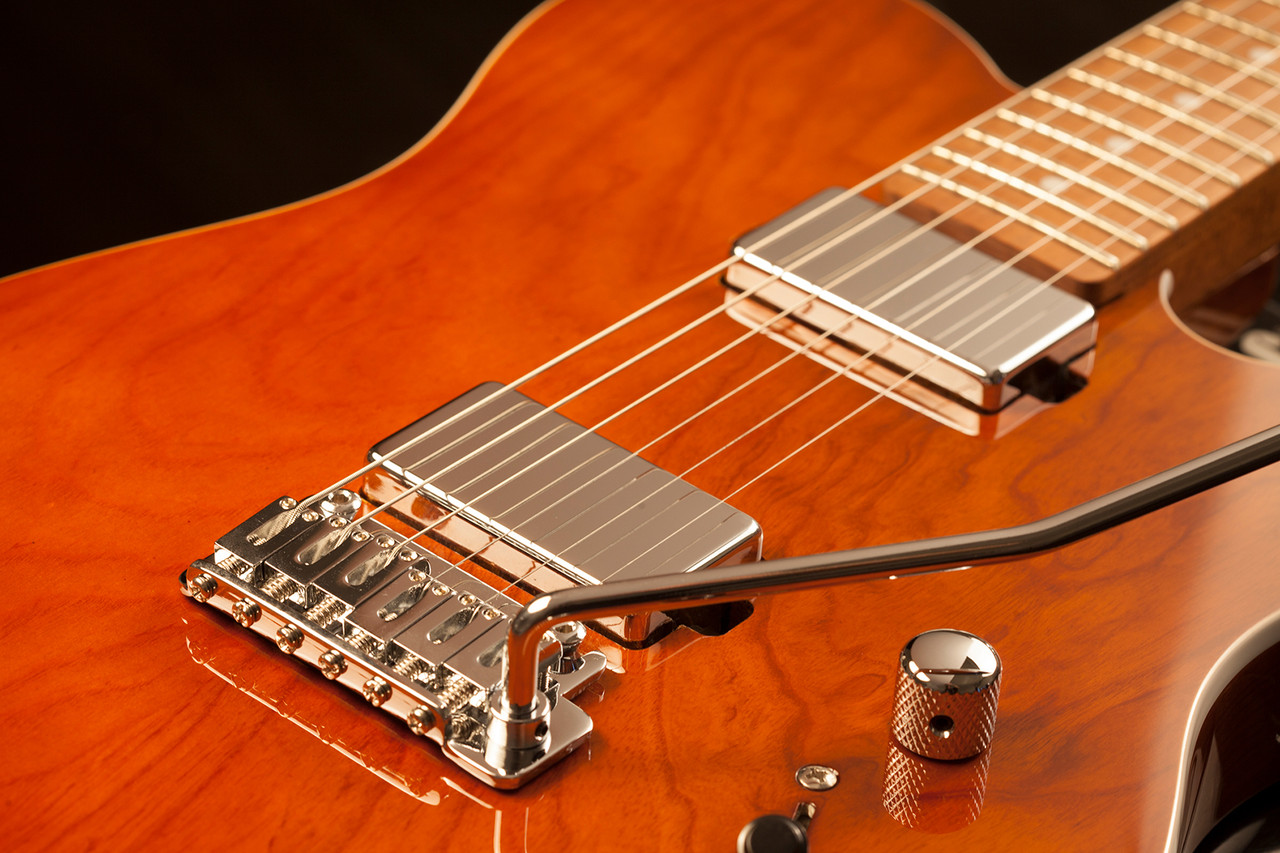 Schecter PT Van Nuys - Gloss Natural Ash (700)