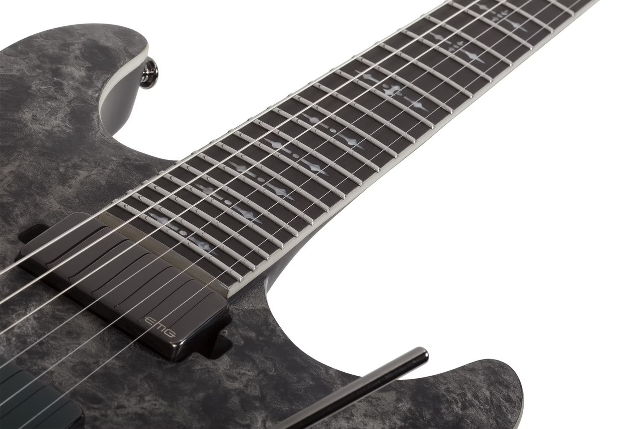 Schecter Ernie C C-1 - Black Reign (911) | Musician Madness