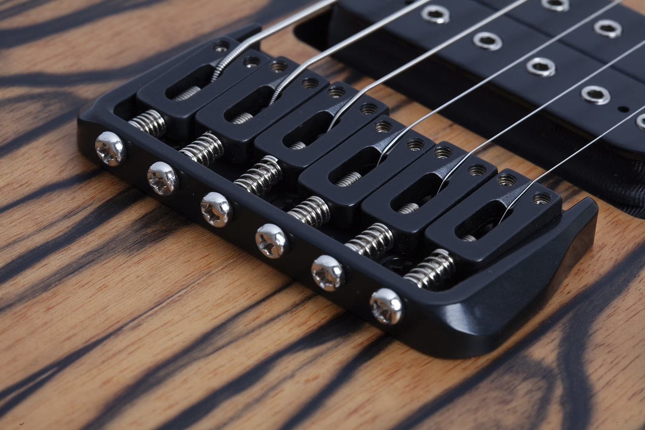 Schecter C-1 Pale Moon - Natural Satin with Black Burst (692)