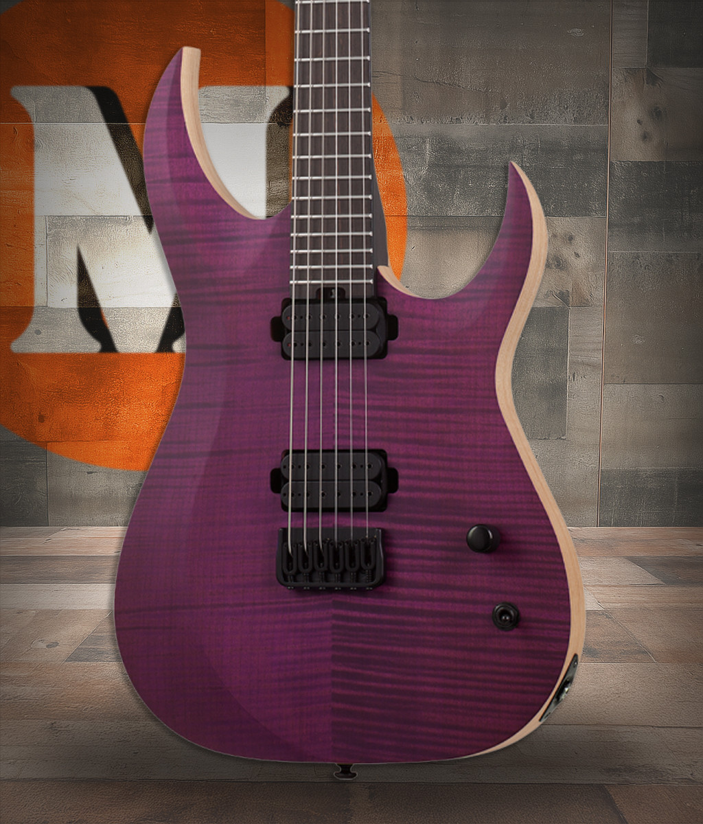 Schecter John Browne Tao-6 - Satin Trans Purple (STP) (462) | Musician Madness
