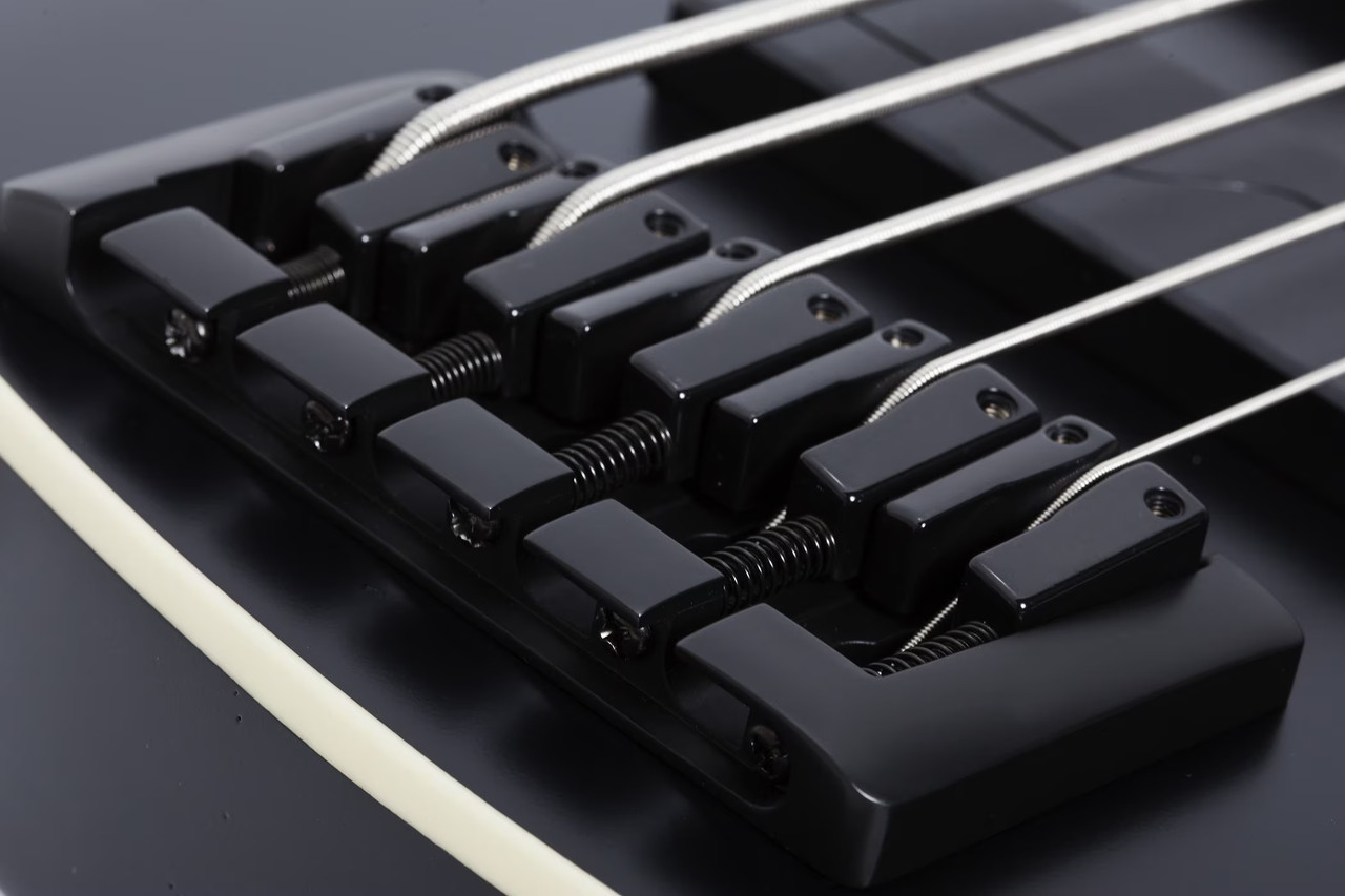 Schecter SLS Evil Twin-5 - Satin Black (1395) | Musician Madness