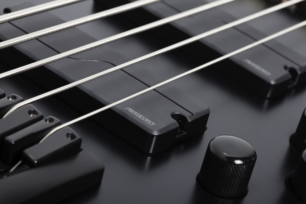 Schecter SLS Evil Twin-5 - Satin Black (1395) | Musician Madness