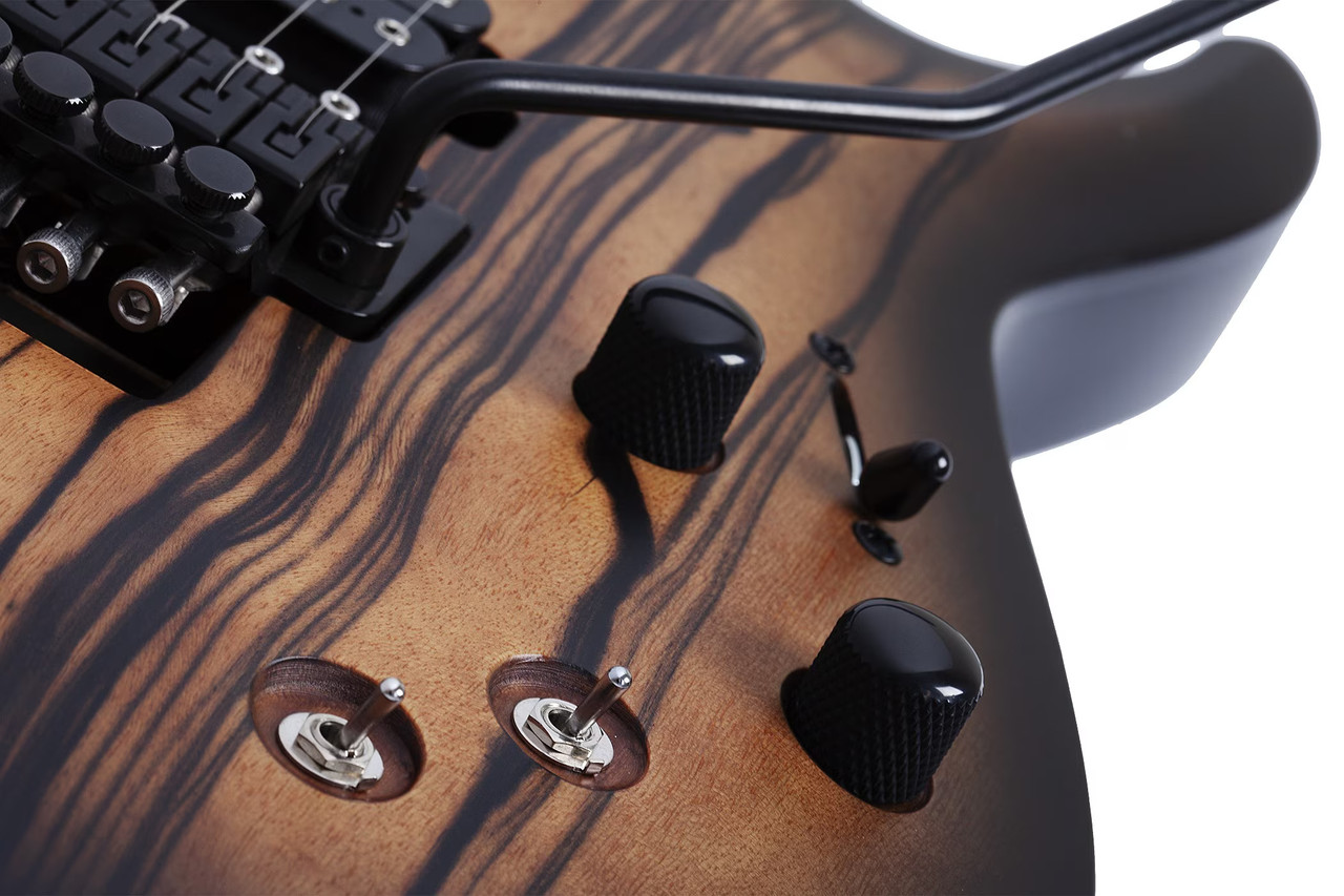 Schecter C-1 FR-S Pale Moon - Natural Satin with Black Burst (693)