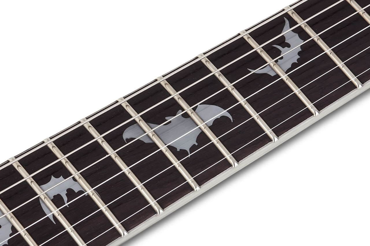 Shop the Schecter Damien Platinum-6 FR S Electric Guitar in Satin Black (1189) at Musician Madness. Sustainiac power, Floyd Rose stability, and aggressive tone.