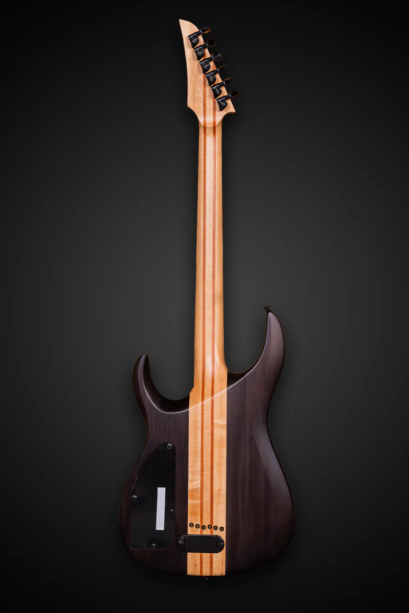 Legator N300 PRO Standard 6 String Electric Guitar (N300-DV)