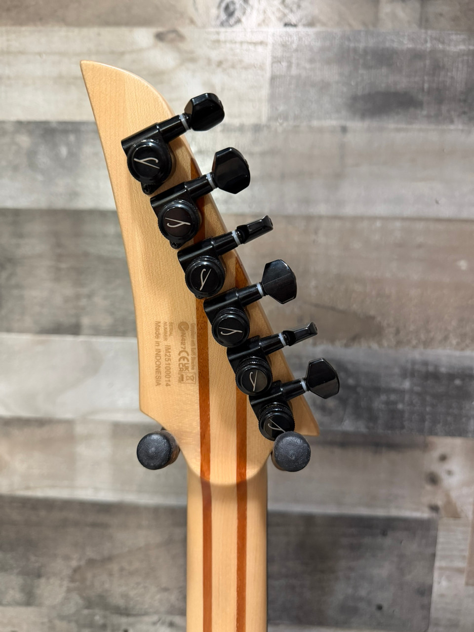 Legator N300 PRO Standard 6 String Electric Guitar (N300-DV)