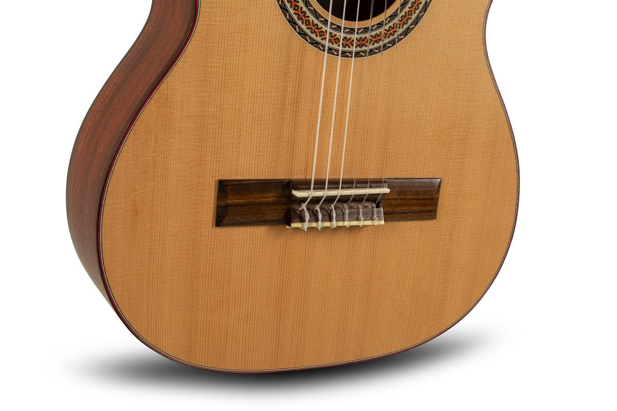 Manuel Rodriguez Tradicion T-53 Red-Cedar/Mahogany 1/2 (T-53) | Musician Madness