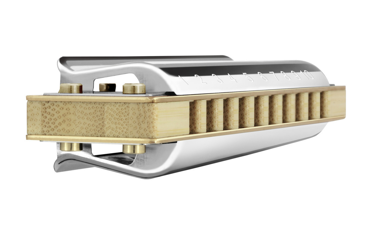 Hohner Thunderbird Key of Low D (M2011BXL-D)