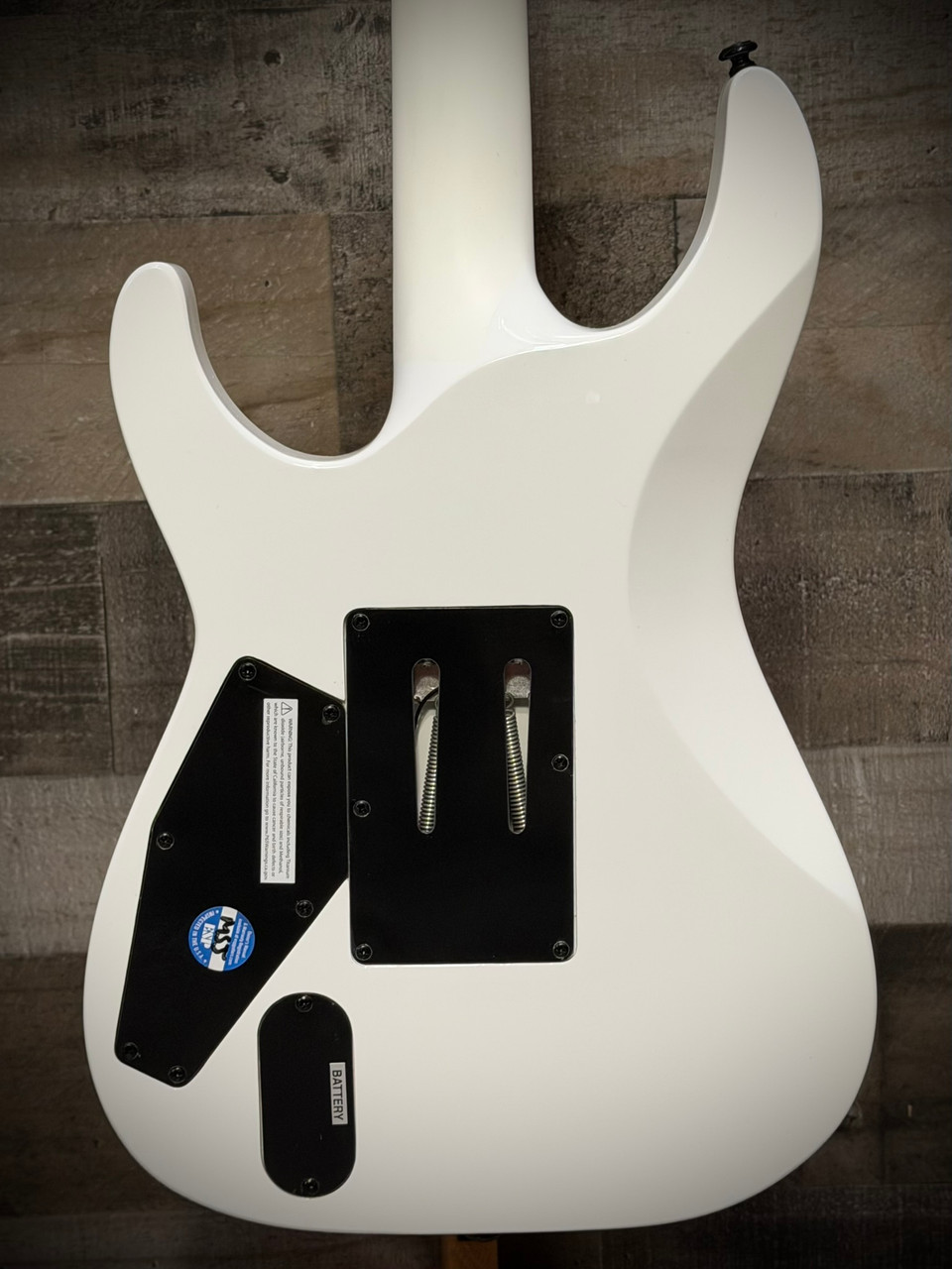 ESP LTD M-1000 Electric Guitar - Snow White (LM1000SW)