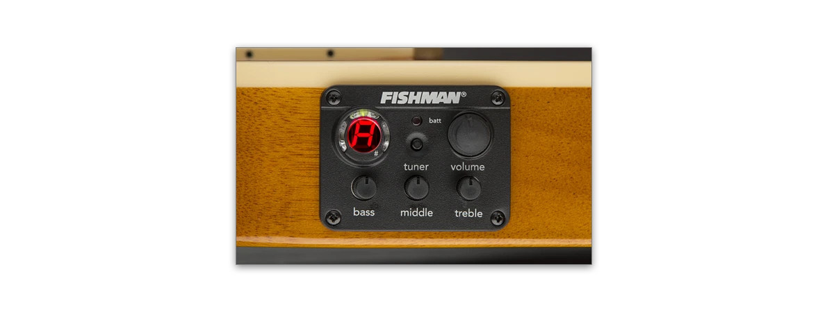 ESP LTD Tl-6 Nylon Nat (LTL6NNAT)