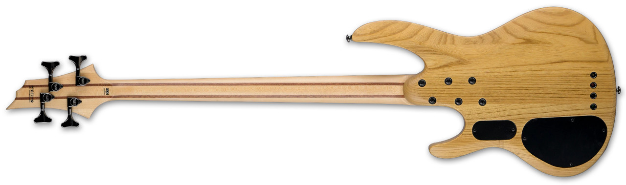 LTD B-204SM Fretless - Natural Satin (LB204SMFLNS)