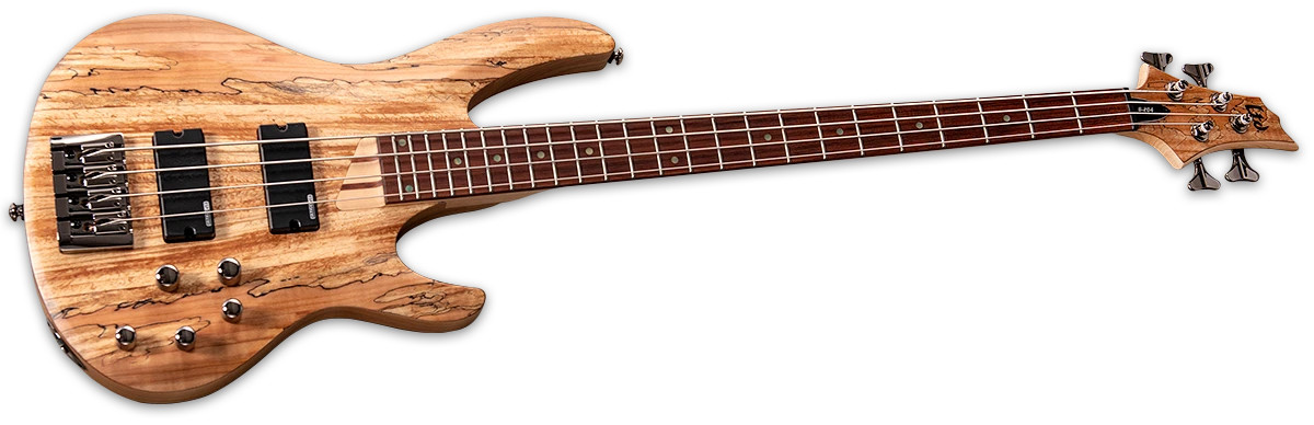 LTD B-204 - Natural Satin (LB204SMNS) | Musician Madness