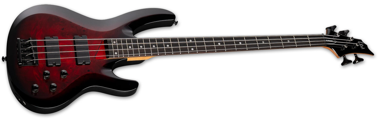 LTD B-204DX RED BURST (LB204DXREDB) | Musician Madness