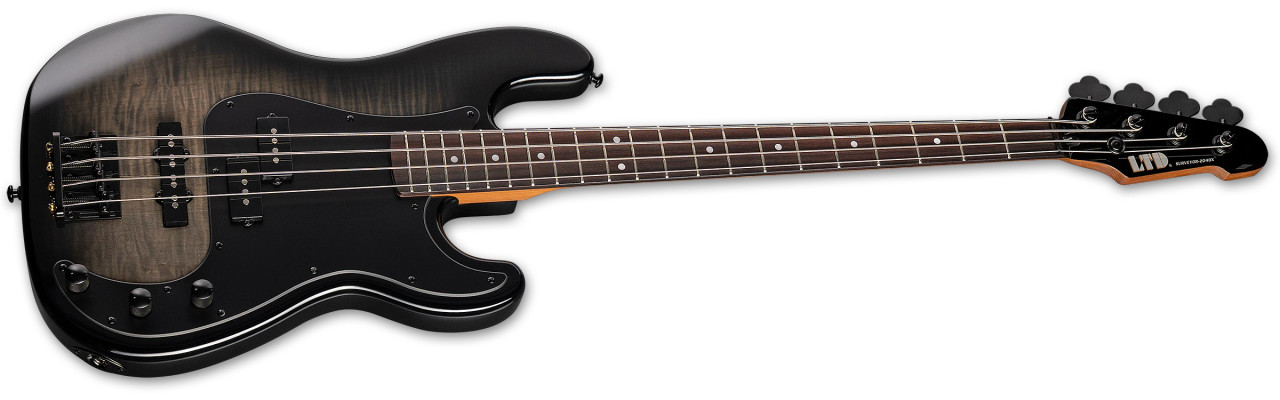 LTD SURVEYOR-204DX BLACK BURST (LSURV204DXBLKB) | Musician Madness