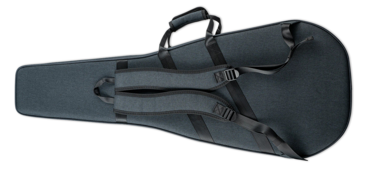 Takamine SH100A Semi-Hard Case FXC (CTAKSH100A) | Musician Madness