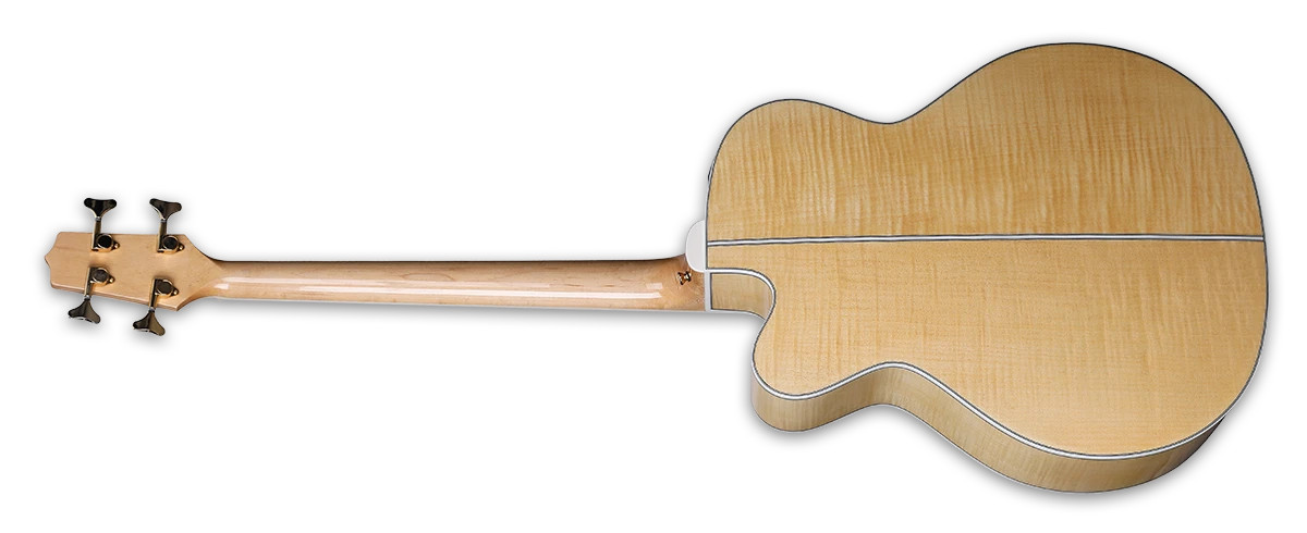 Takamine GB72CE - Gloss Natural (TAKGB72CENAT) | Musician Madness