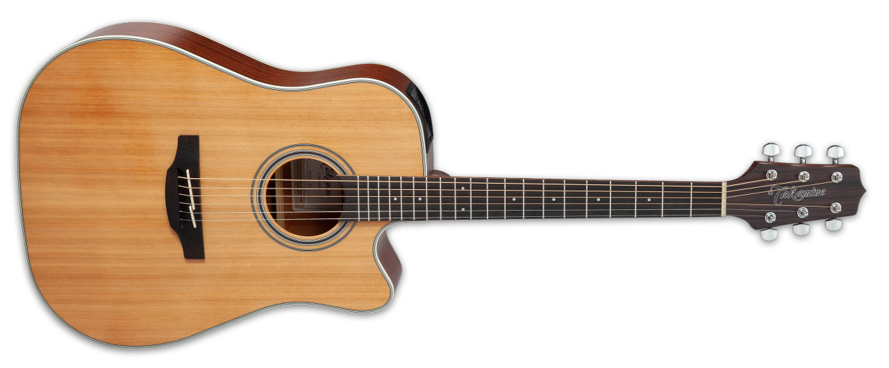 Takamine GD20CE - Natural Satin (TAKGD20CENS)