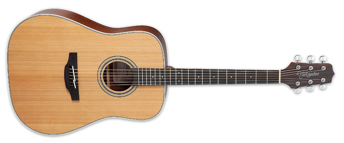 Takamine GD20 - Natural Satin (TAKGD20NS)