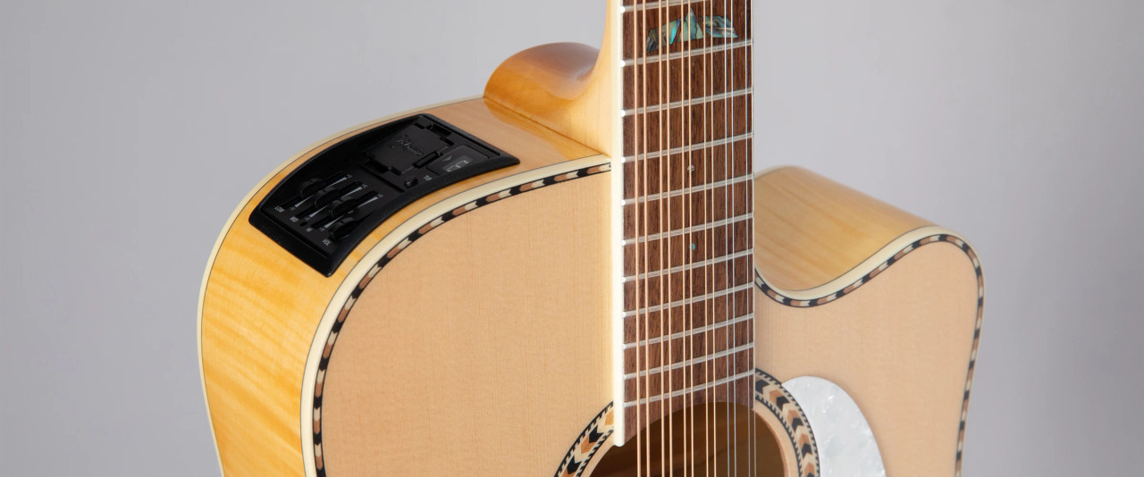 Takamine GD74CE-12U - Gloss Natural w/ Gig Bag (TAKGD74CE12UNAT) | Musician Madness
