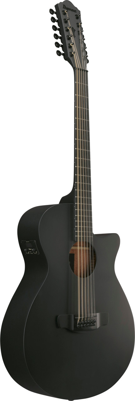 Ibanez AEG1221 12-string Acoustic Electric Guitar - Black Out (AEG1221BOT) | Musician Madness