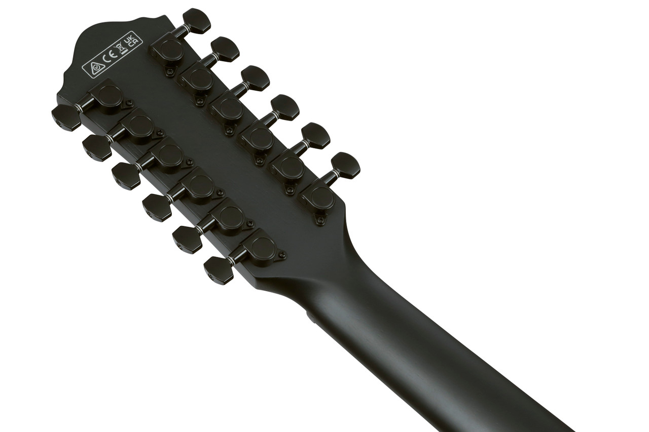 Ibanez AEG1221 12-string Acoustic Electric Guitar - Black Out (AEG1221BOT) | Musician Madness