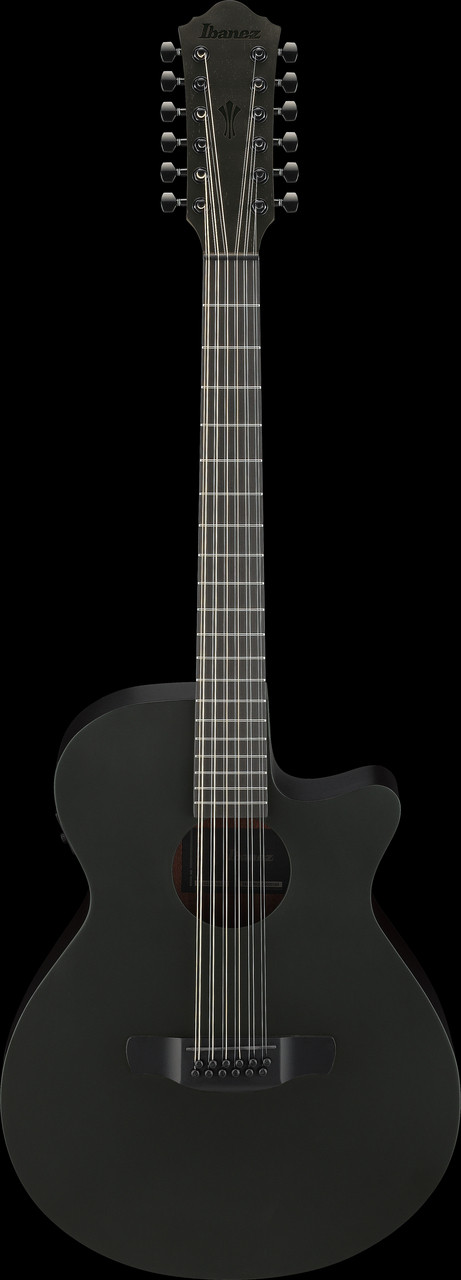 Ibanez AEG1221 12-string Acoustic Electric Guitar - Black Out (AEG1221BOT) | Musician Madness