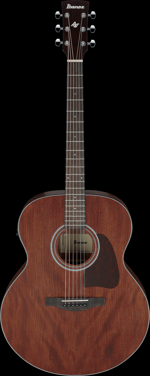 Ibanez AJ54E Artwood Jumbo Acoustic Electric Guitar - Open Pore Natural (AJ54EOPN) | Musician Madness