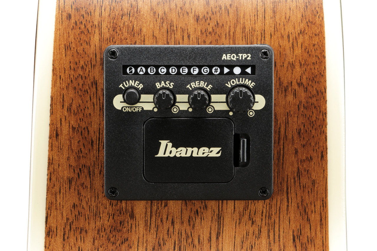Ibanez AE100BUF Grand Auditorium Acoustic Electric Guitar - Burgundy Flat (AE100BUF) | Musician Madness