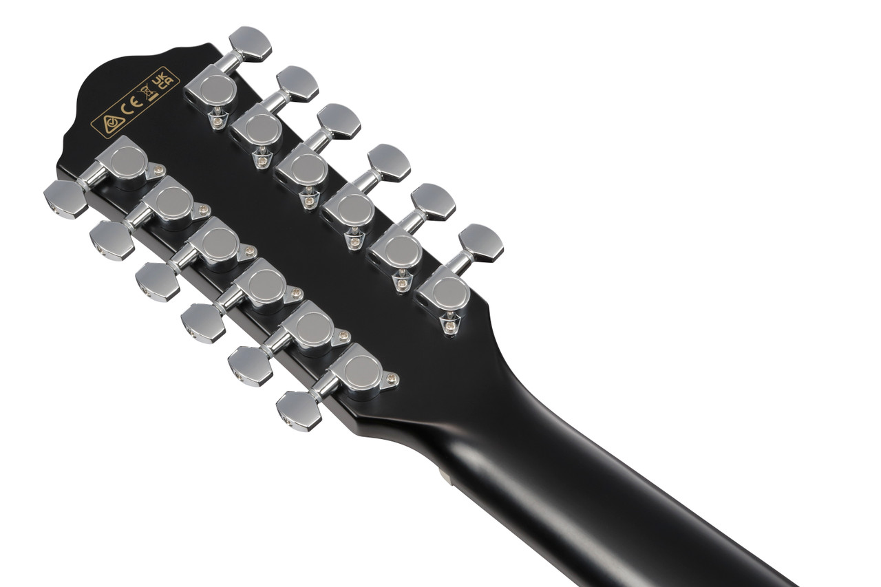 Ibanez AEG5012BK Acoustic Electric 12-String Guitar - Black (AEG5012BK) | Musician Madness
