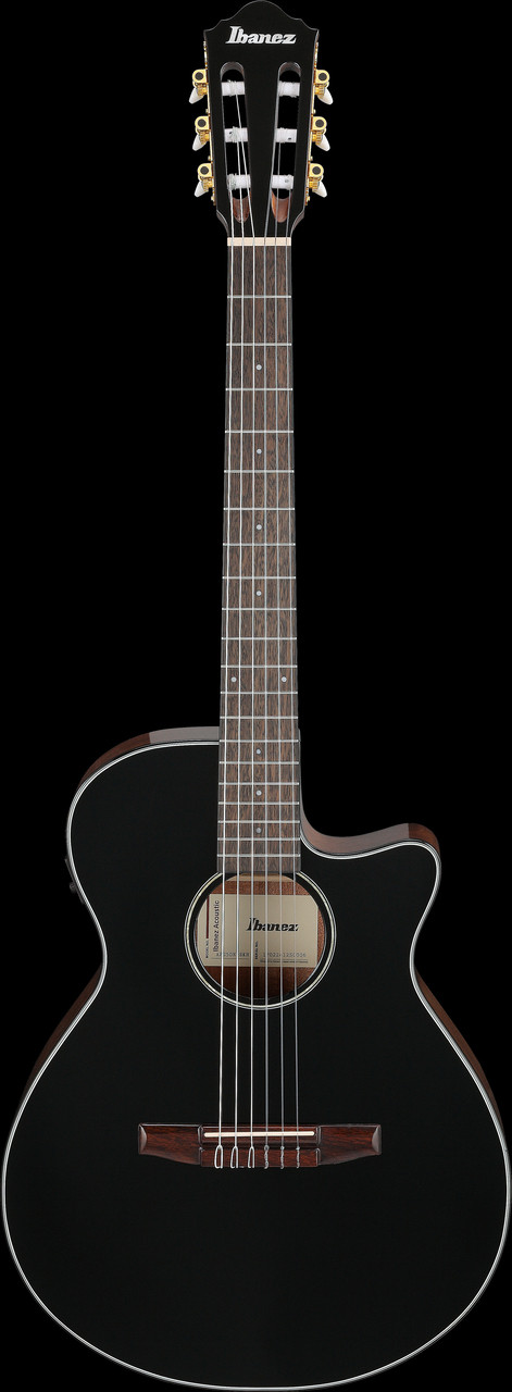 Ibanez AEG50NBKH Acoustic Electric Nylon-String Guitar - Black (AEG50NBKH) | Musician Madness