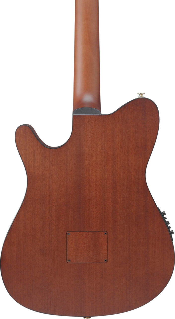 Ibanez FRH10N Thinline Nylon Acoustic Electric Guitar - Rose Gold Metallic Flat (FRH10NRGF) | Musician Madness