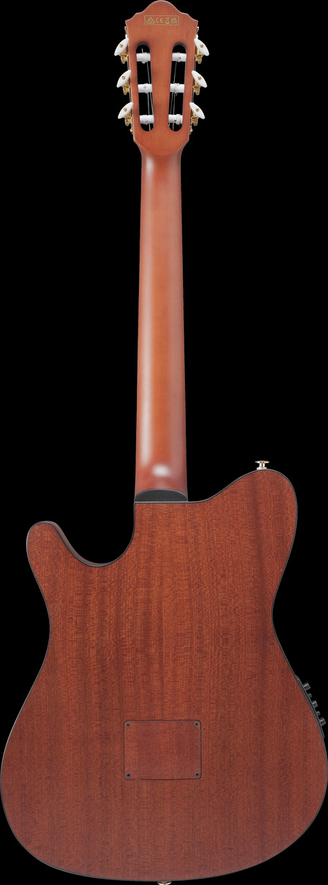 Ibanez FRH10N Nylon-String Acoustic Electric Guitar - Brown Sunburst Flat (FRH10NBSF) | Musician Madness