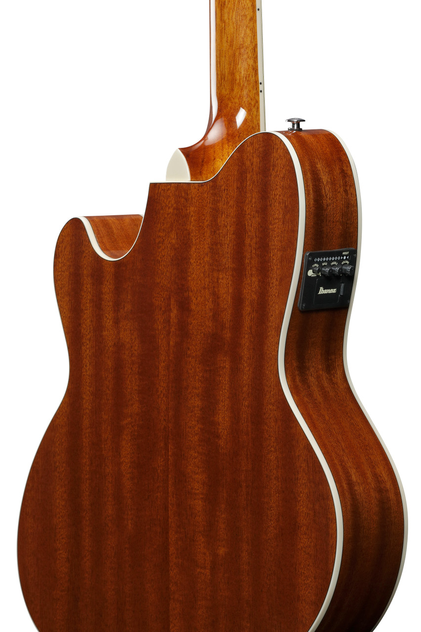Ibanez Talman TCY10E Acoustic Electric Guitar - Ivory (TCY10EIVH) | Musician Madness